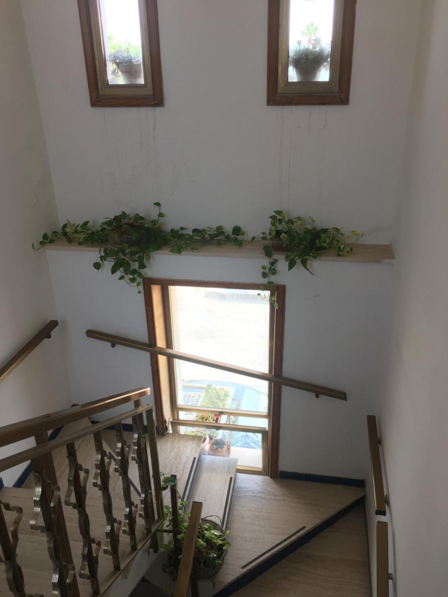 Delia Appartement Porto Cesareo Buitenkant foto